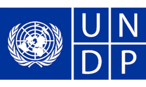UNDP logo